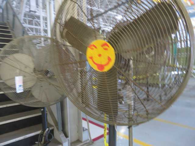 Fan - MISCELLANEOUS